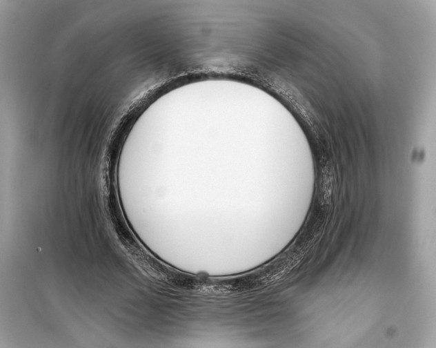 X0000099320680200805231425