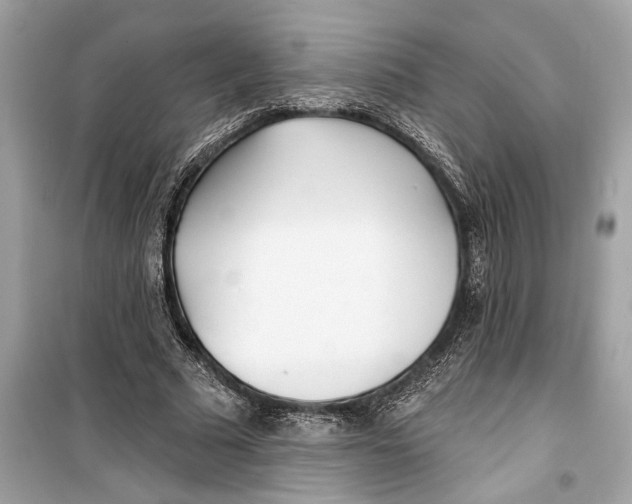 X0000099320681200805231425