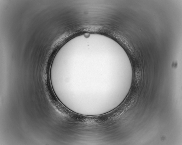 X0000099320682200805231425