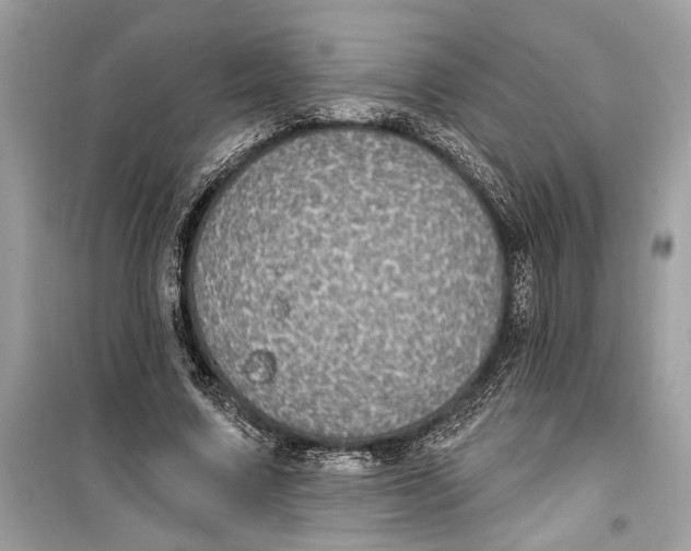 X0000099320683200805231425