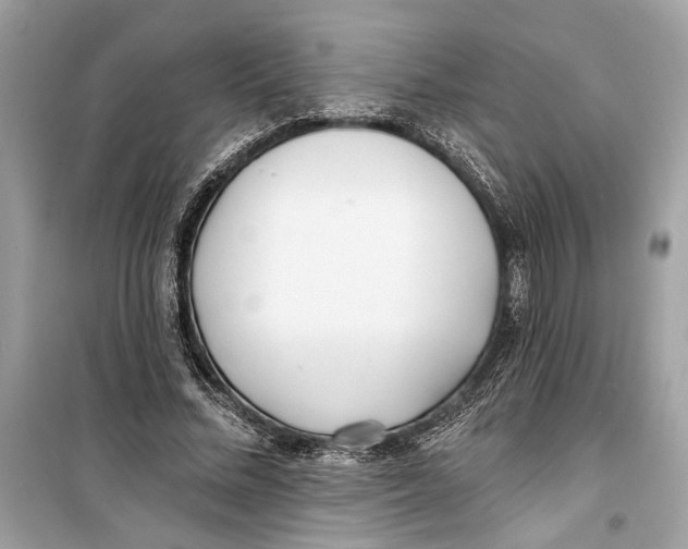 X0000099320684200805231425