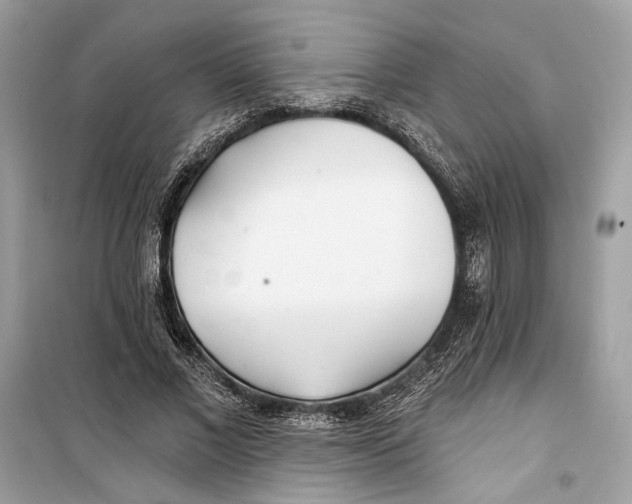 X0000099320685200805231425