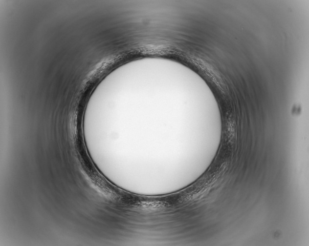 X0000099320686200805231425