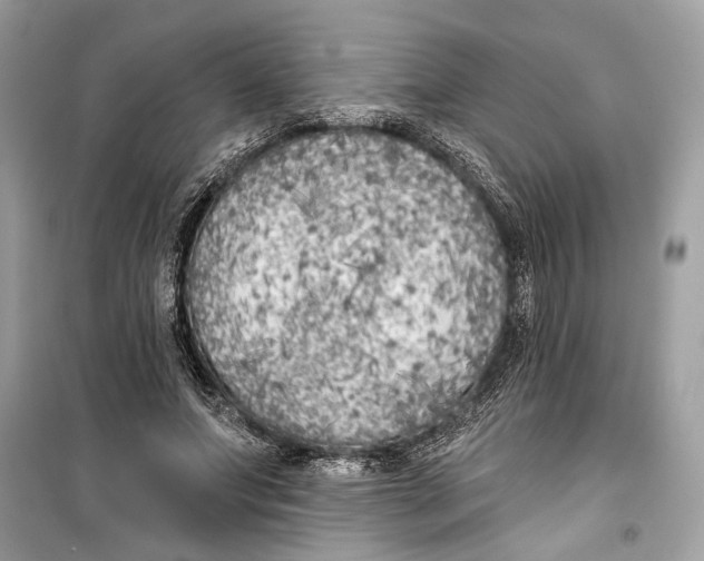 X0000099320687200805231425