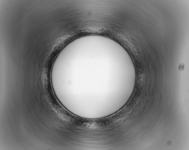 X0000099320688200805231425