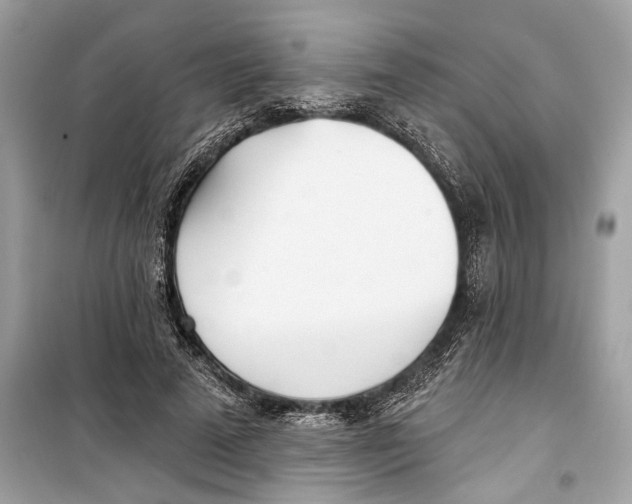 X0000099320689200805231425