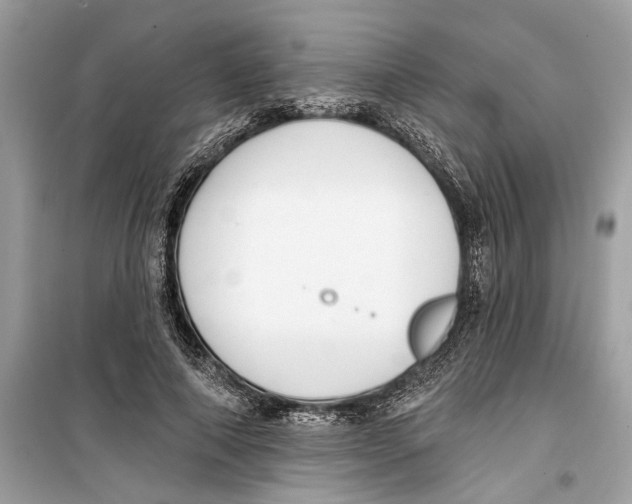 X0000099320690200805231425