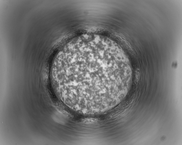 X0000099320691200805231425