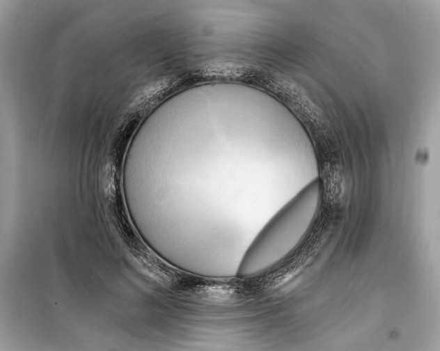 X0000099320692200805231425