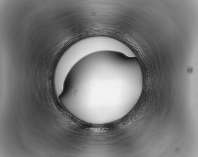 X0000099320693200805231425