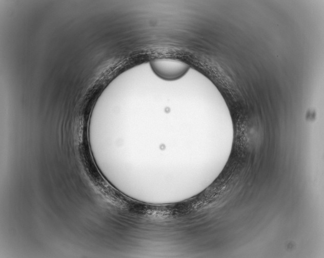 X0000099320694200805231425