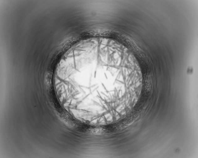 X0000099320695200805231425