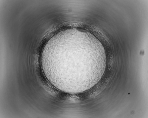 X0000099320696200805231425