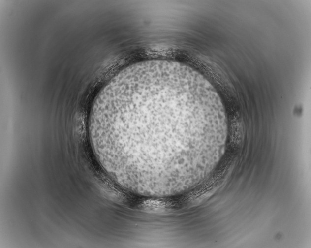 X0000099320699200805231425