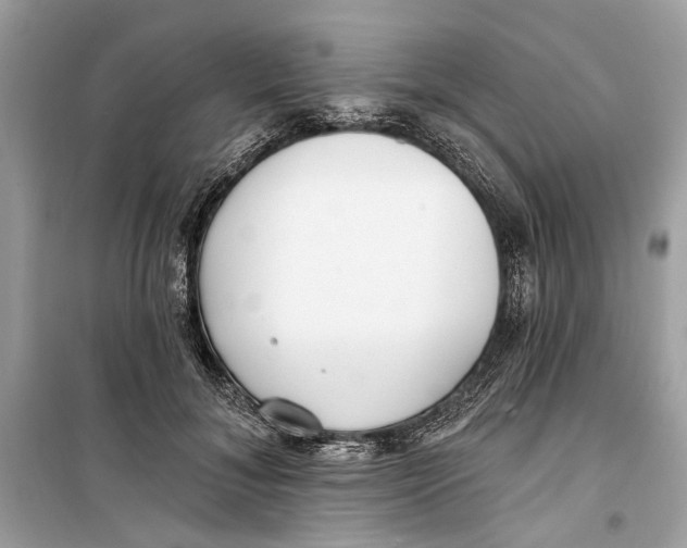 X0000099320700200805231425