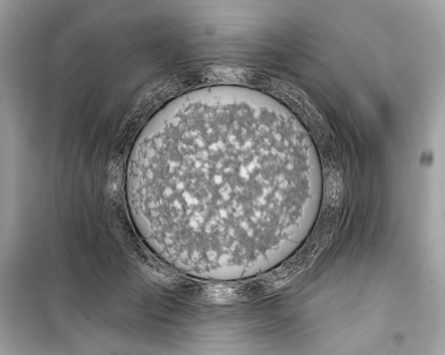 X0000099320701200805231425