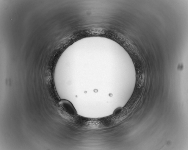 X0000099320704200805231425