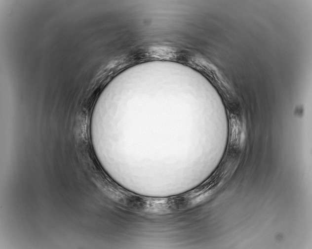 X0000099320705200805231425