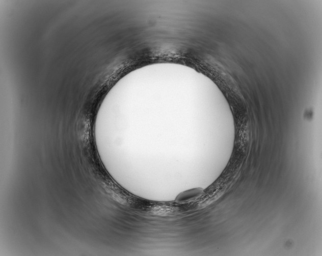 X0000099320708200805231425