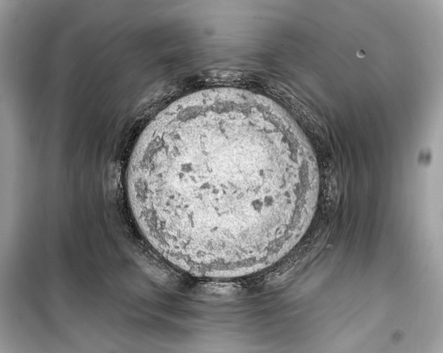 X0000099320711200805231425