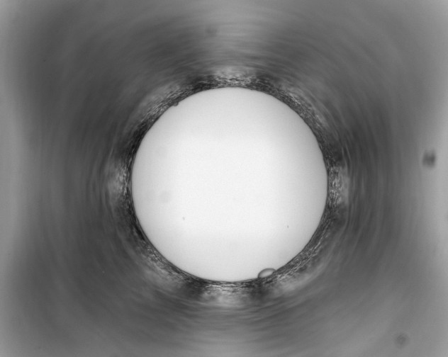 X0000099320713200805231425