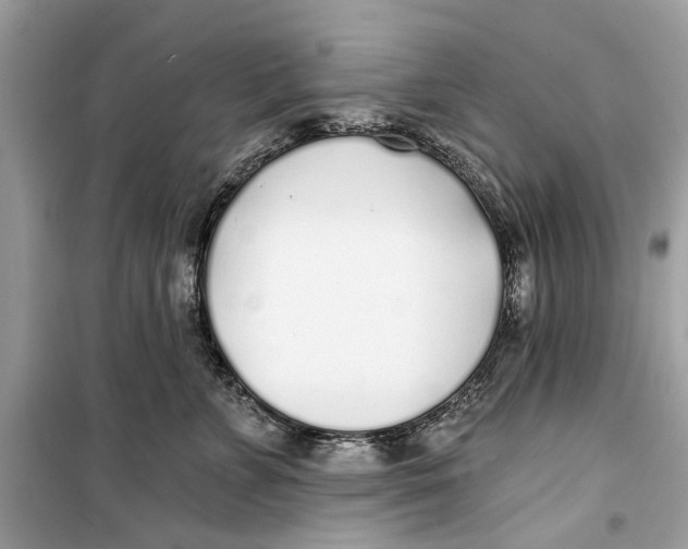 X0000099320715200805231425