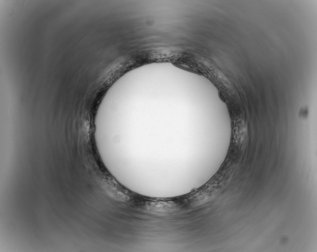 X0000099320716200805231425