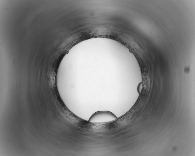 X0000099320718200805231425