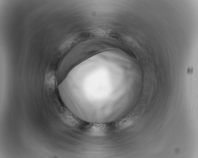 X0000099320720200805231425