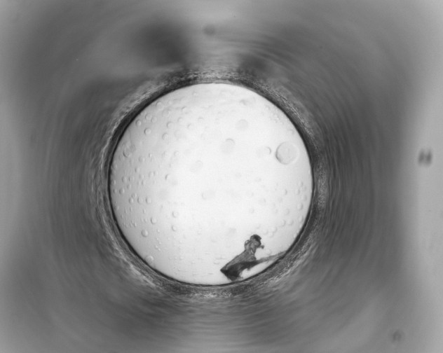 X0000099320721200805231424