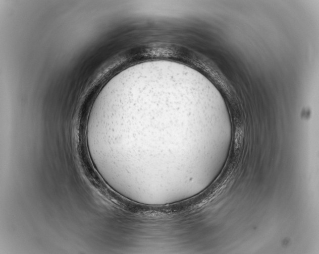 X0000099320722200805231424