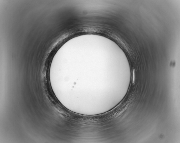 X0000099320723200805231424