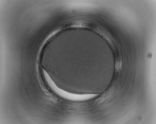 X0000099320724200805231424