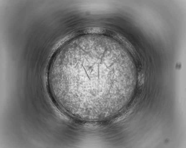 X0000099320725200805231424