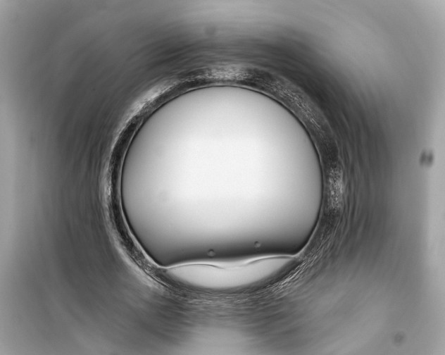 X0000099320726200805231424