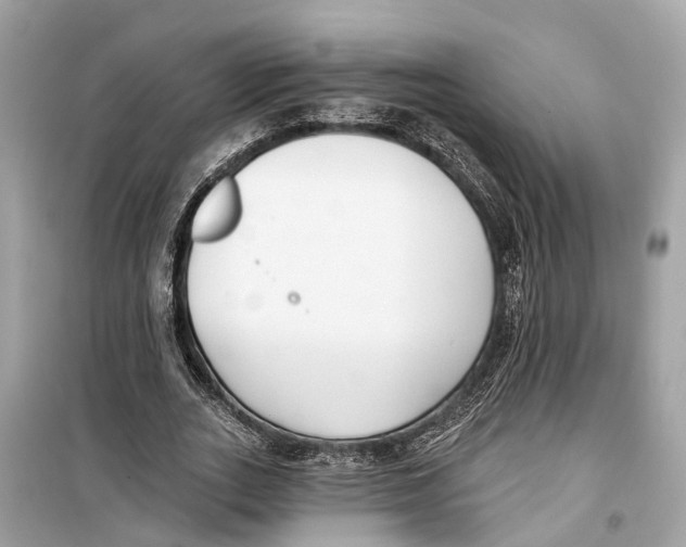 X0000099320727200805231424