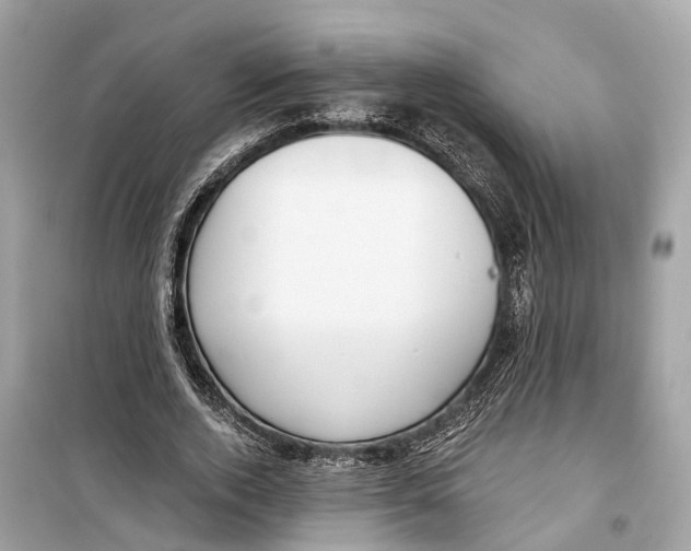 X0000099320728200805231424