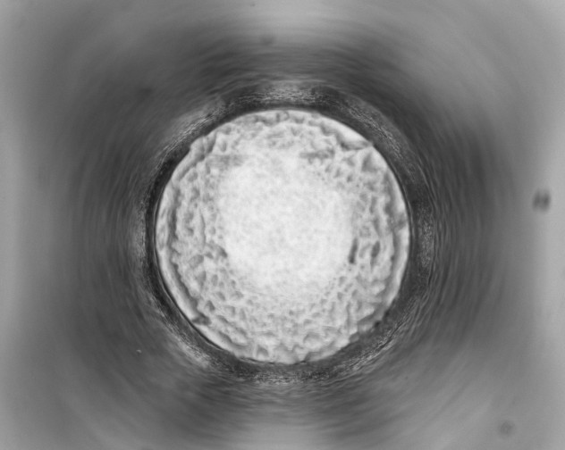 X0000099320729200805231424