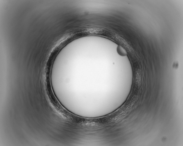 X0000099320730200805231424