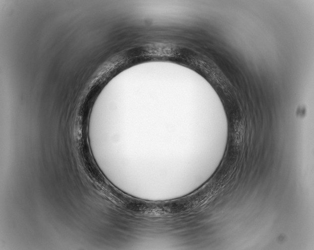 X0000099320731200805231424