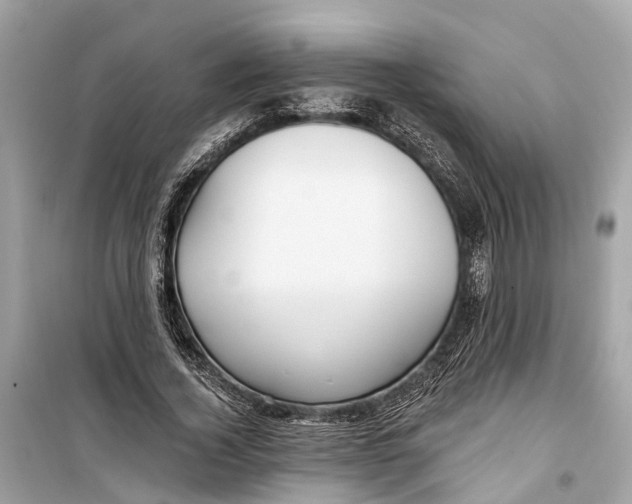 X0000099320732200805231424