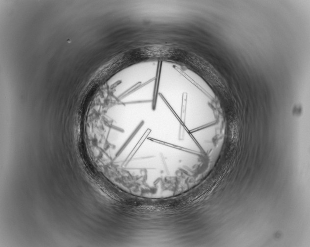 X0000099320733200805231424