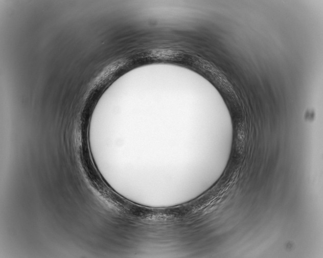 X0000099320734200805231424