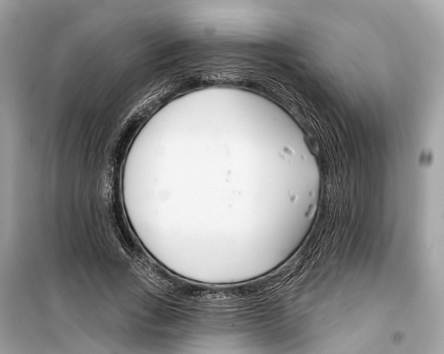 X0000099320735200805231424