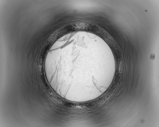 X0000099320737200805231424