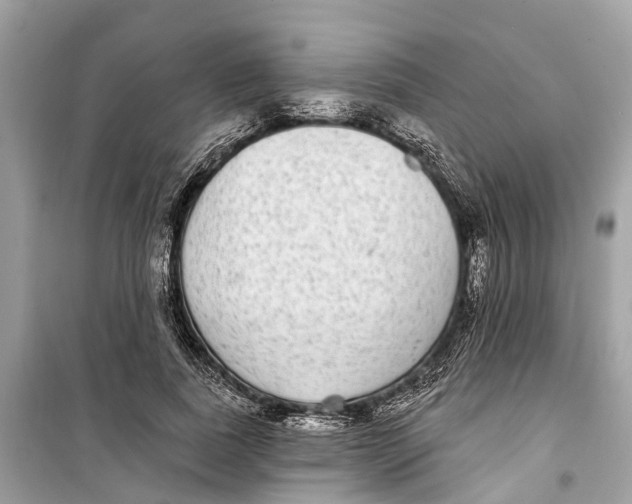 X0000099320739200805231424