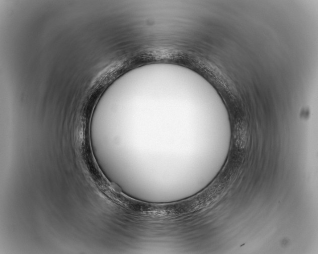 X0000099320740200805231424