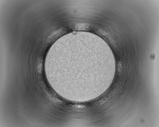 X0000099320741200805231424