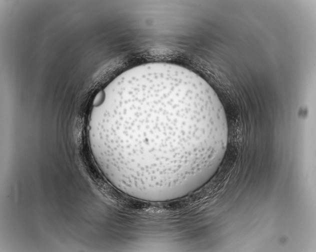 X0000099320742200805231424