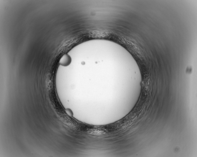 X0000099320743200805231424